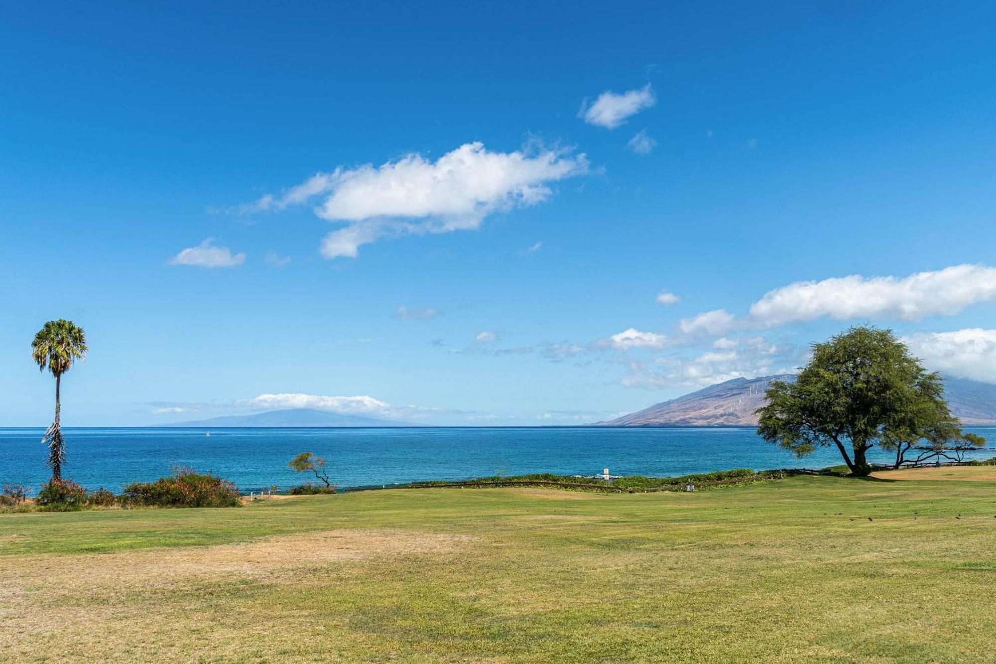 Апартаменты Maui Banyan Q-109 Уэйлея Экстерьер фото